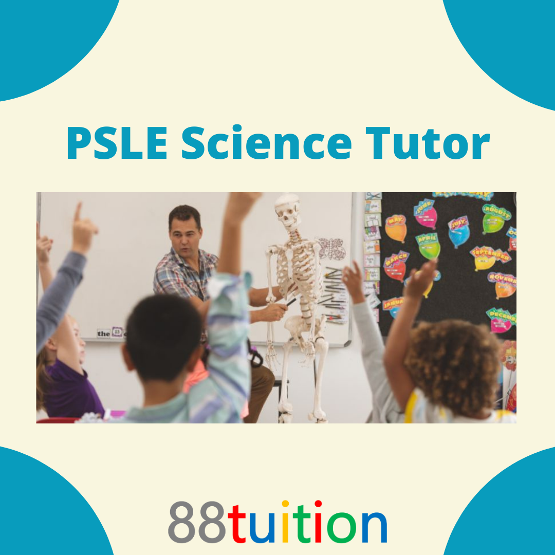 What to look for in a PSLE science tutor for your children's learning